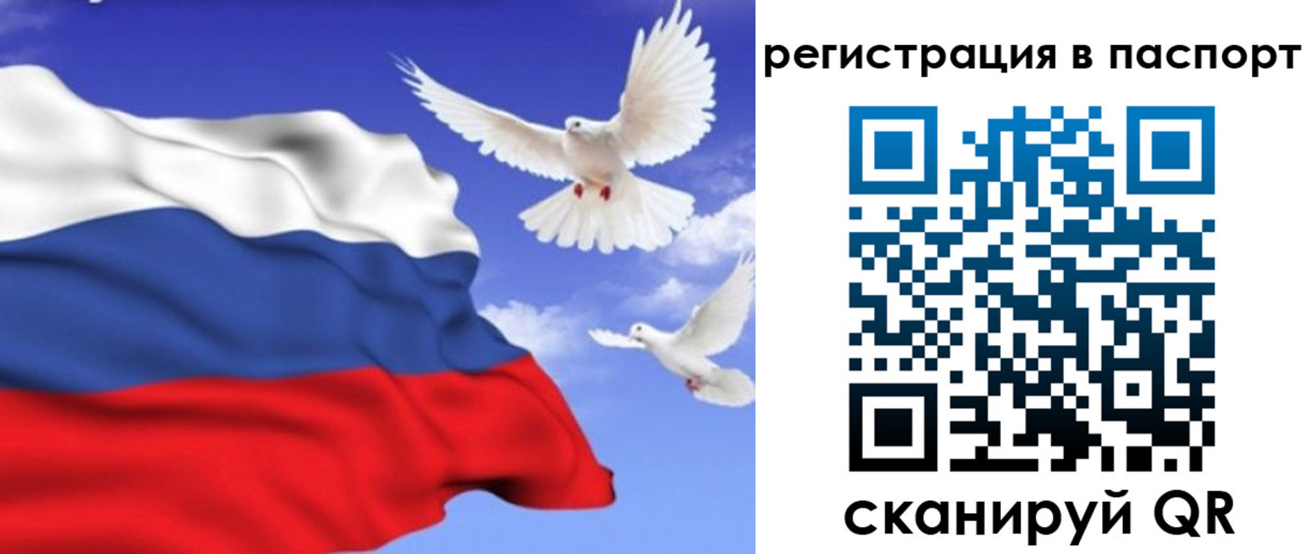купить прописку в Гусеве